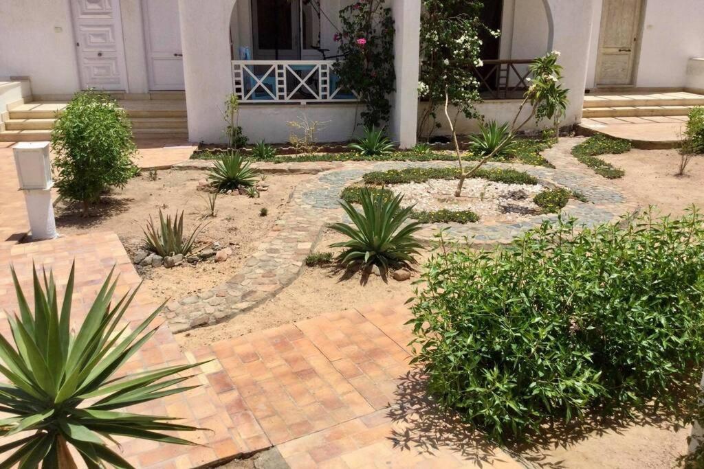 Beyt Alzohour - Casa Dei Fiori Apartment Дахаб Екстериор снимка